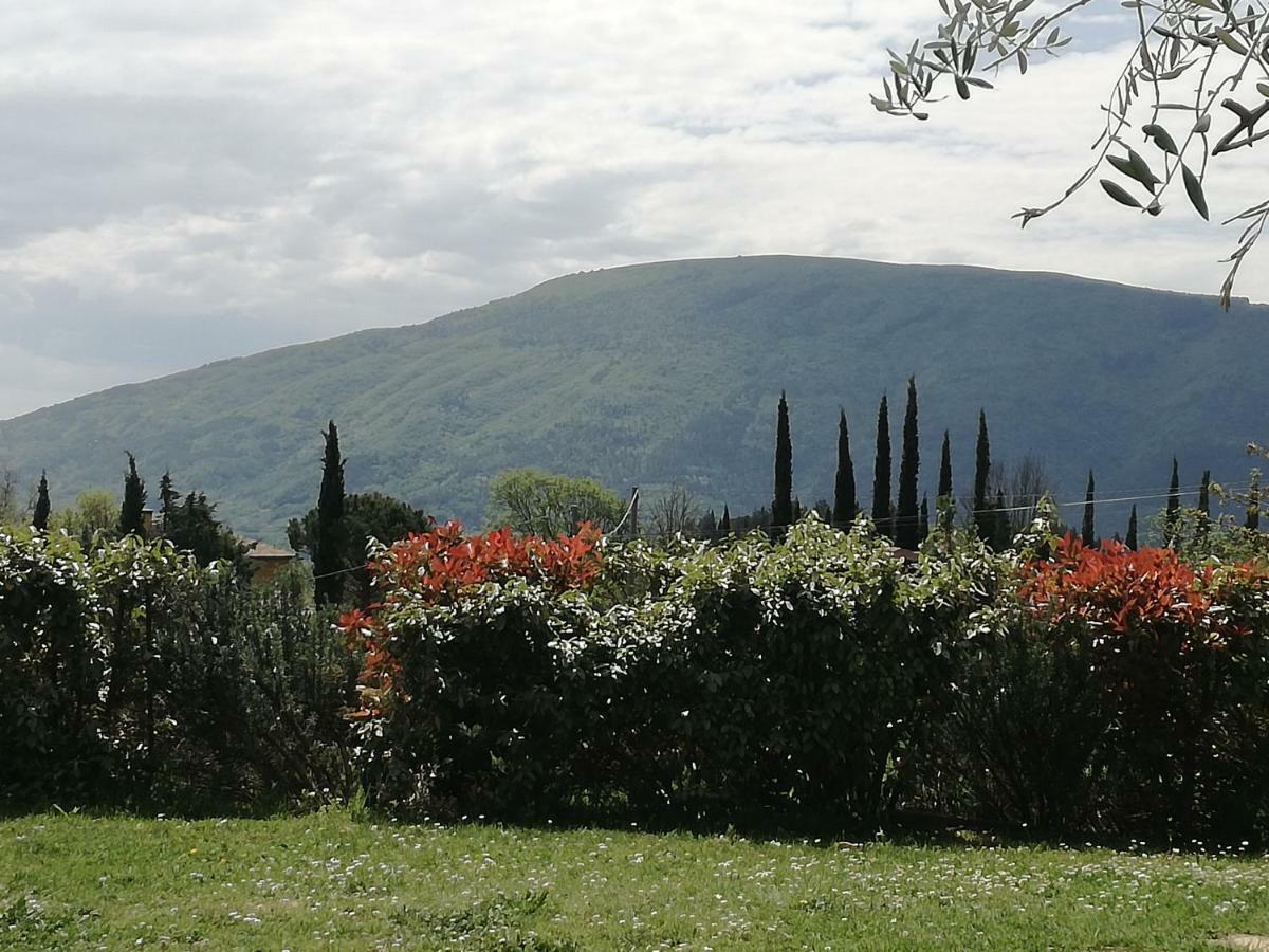 Colleparadiso Hotel Assisi Buitenkant foto